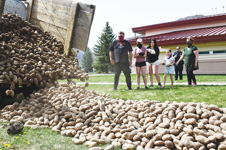 potatoes